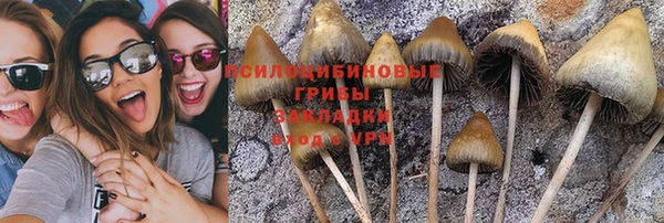 spice Алзамай