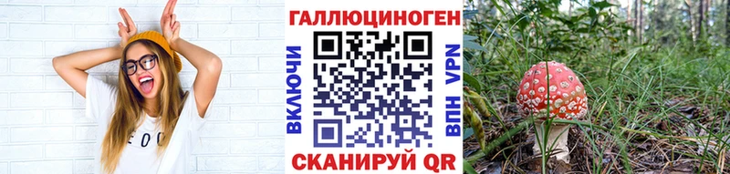 купить наркотик  блэк спрут   Галлюциногенные грибы мицелий  Ачинск 