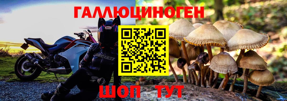 Галлюциногенные грибы Psilocybine cubensis  Псилоцибиновые грибы Psilocybine cubensis  Ачинск  Вход с VPN 
